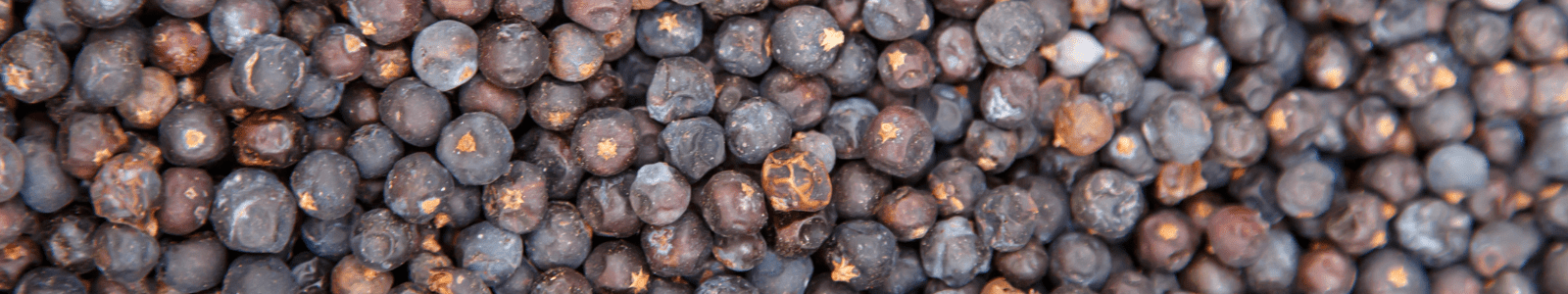 Moulin à Poivre Électrique bas